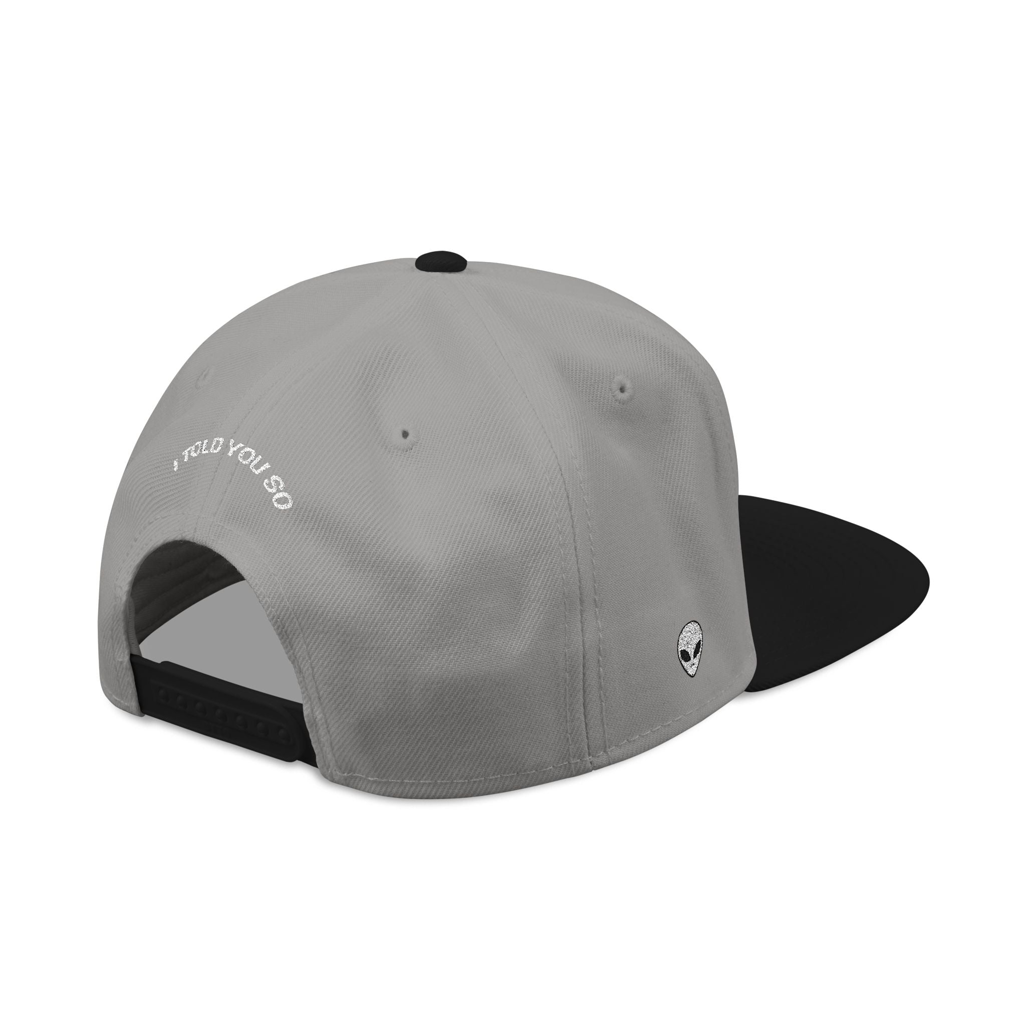 TIN FOIL UNIVERSITY  TFU Snapback (Embroidery)